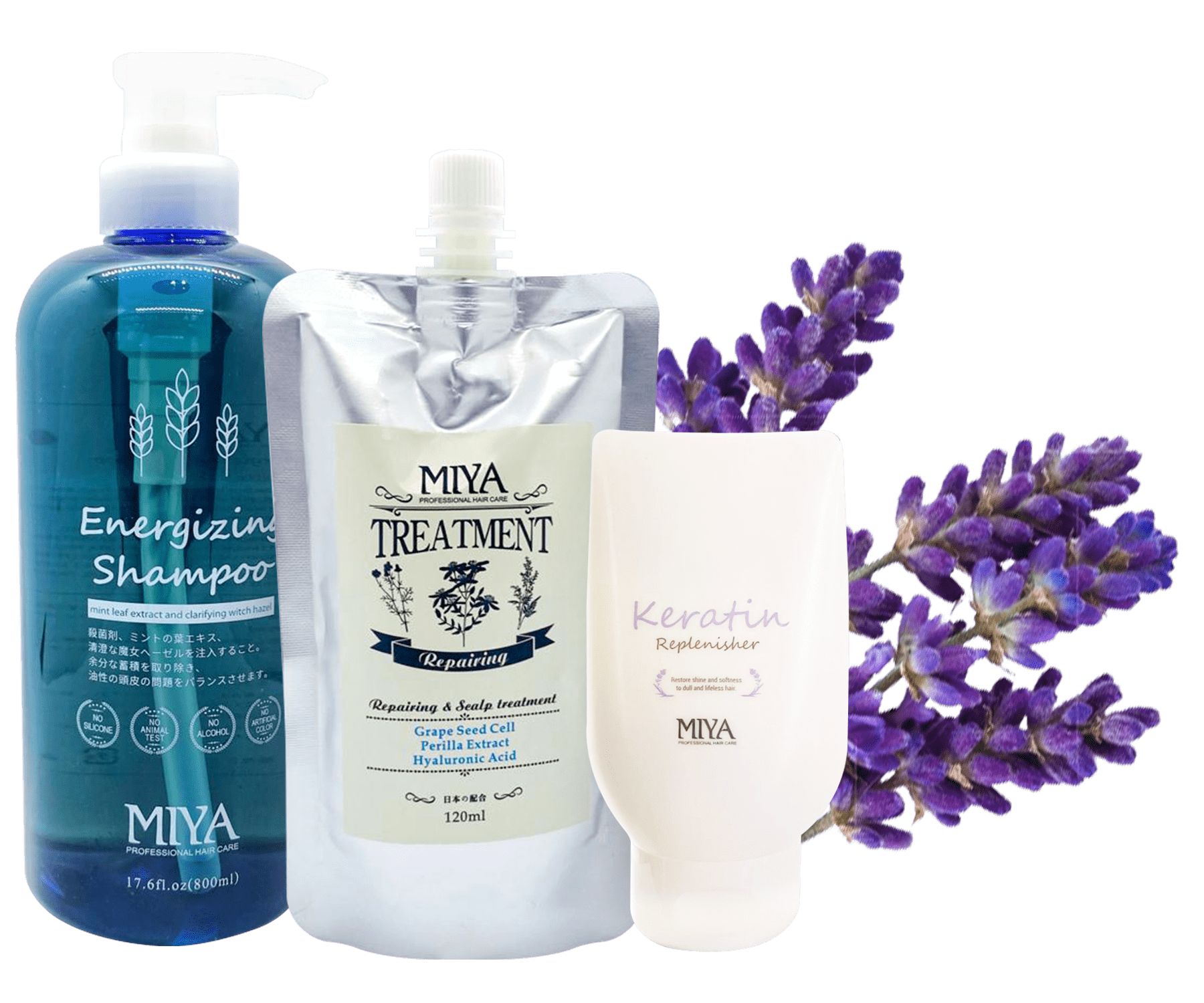 My Hair Care My Hair Care